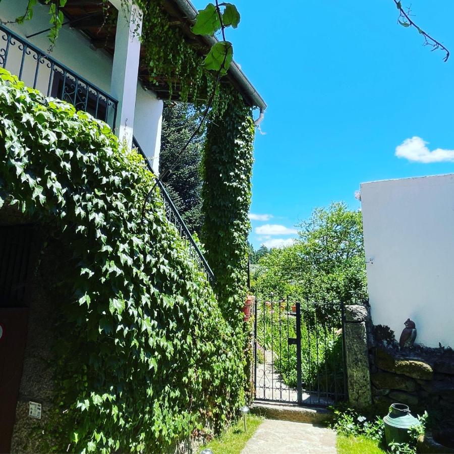 Casa Do Beco B&B Douro - Guest House Parambos Exteriör bild